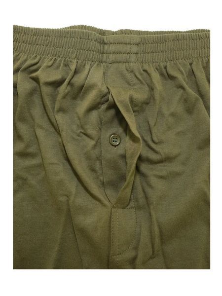 Труси чоловічі Mil-Tec Боксери вільного крою L Олива BOXER SHORTS OLIV (11201001-904-L) 11201001-904-L фото